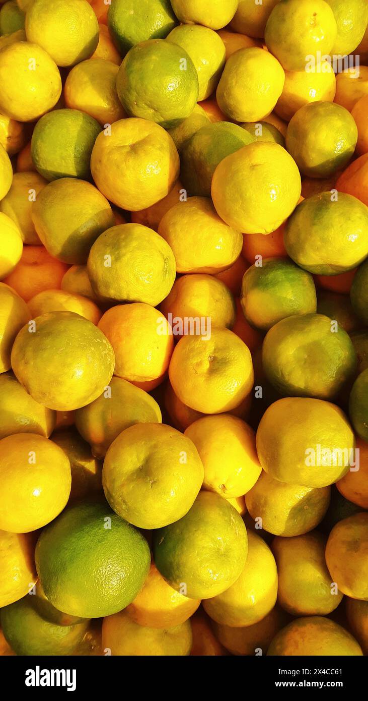 Frische reife Orange auf dem Markt. Kiste reifer Mandarinen. Blick von oben. Ein Haufen Orangenfrüchte im Laden. Haufen Orangenfrüchte. Orangenhaufen für den Verkauf auf dem Markt. Stockfoto