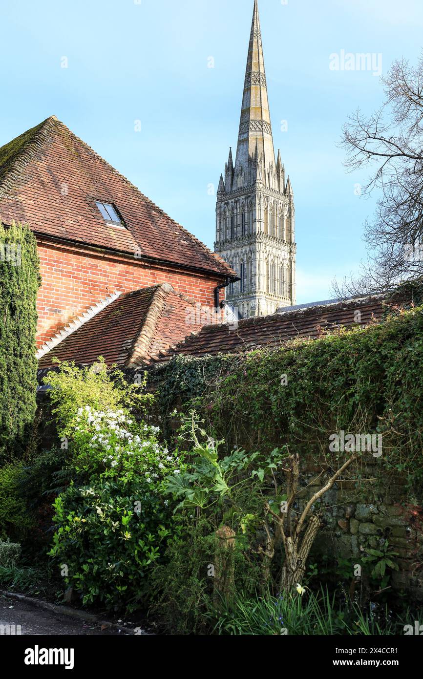 Wunderschöne Häuser und Gärten in Salisbury. Die Kathedrale von Salisbury im Hintergrund Stockfoto