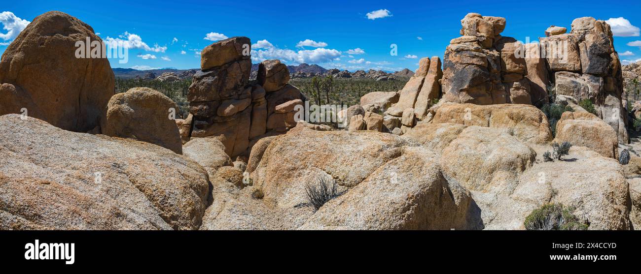 Hidden Valley, Joshua Tree National Park, Kalifornien Stockfoto