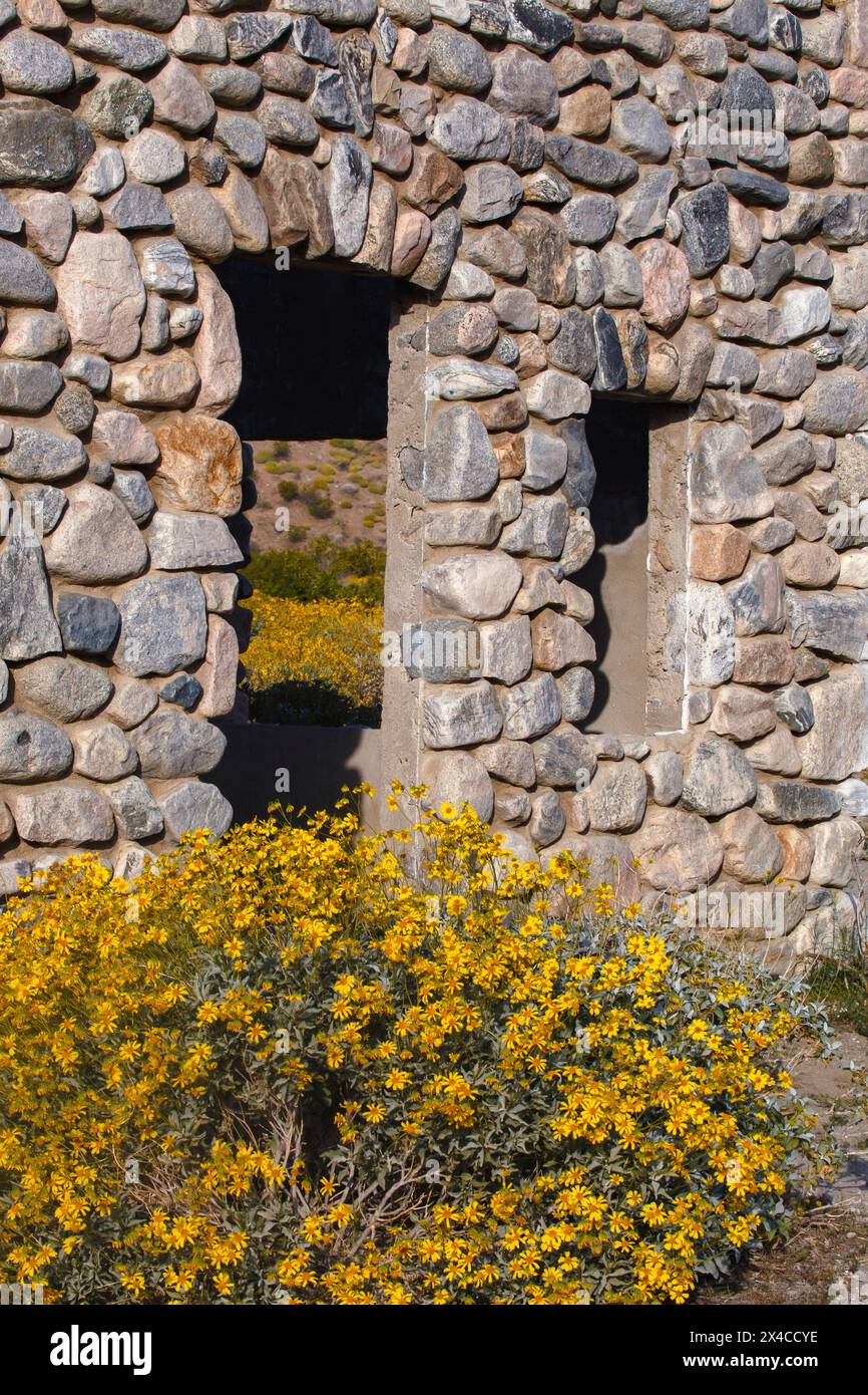 Mission Creek Preserve, Colorado Desert, Kalifornien Stockfoto