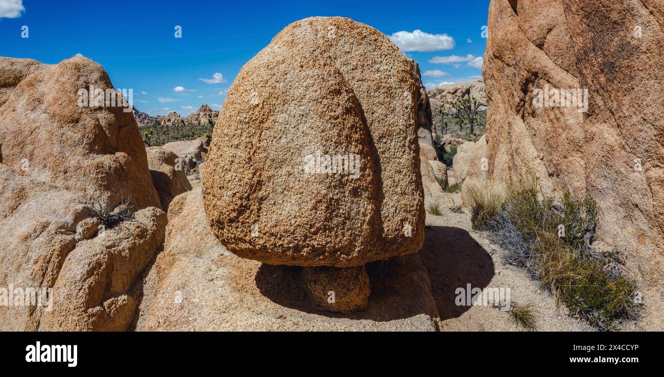 Hidden Valley, Joshua Tree National Park, Kalifornien Stockfoto