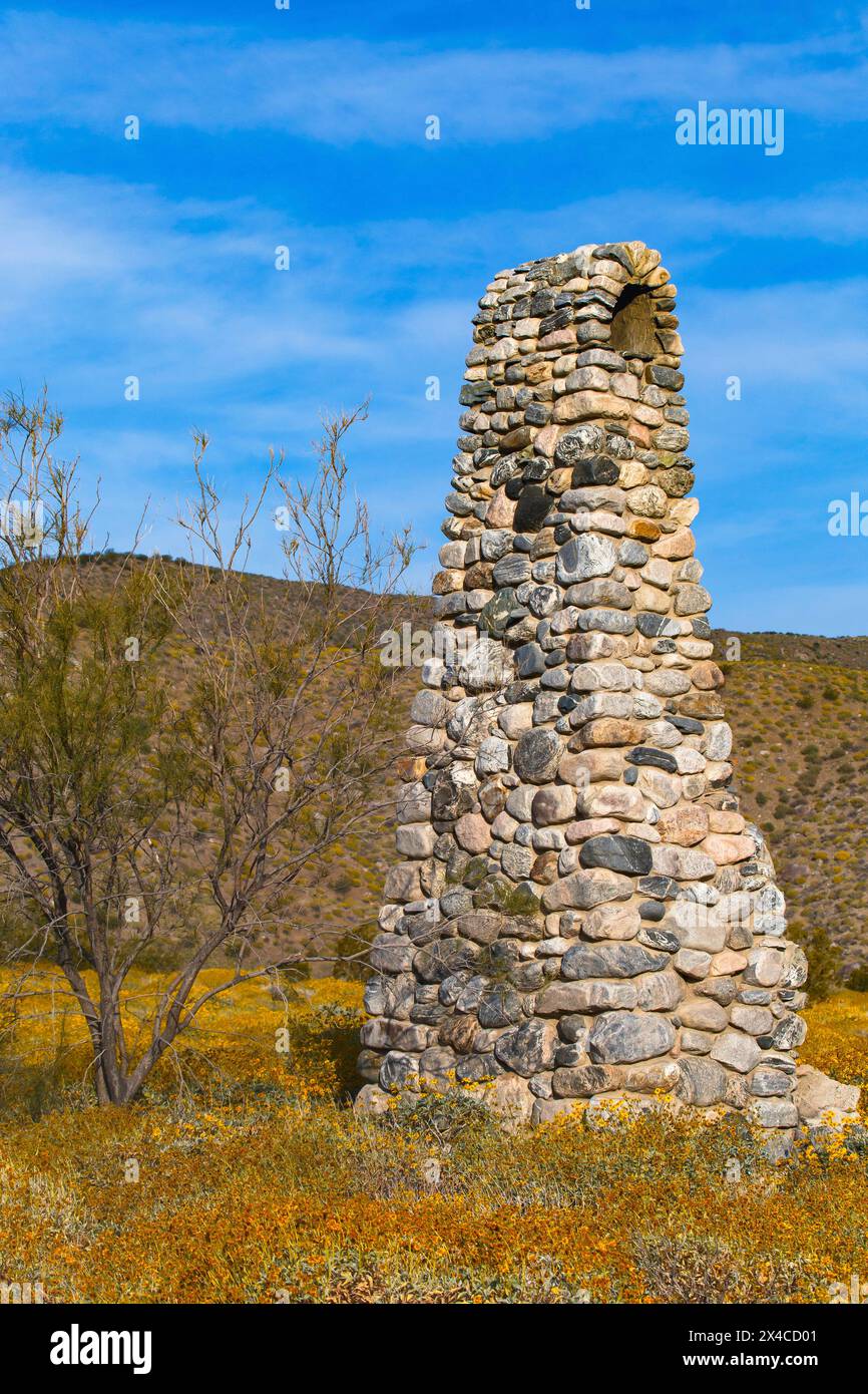 Mission Creek Preserve, Colorado Desert, Kalifornien Stockfoto