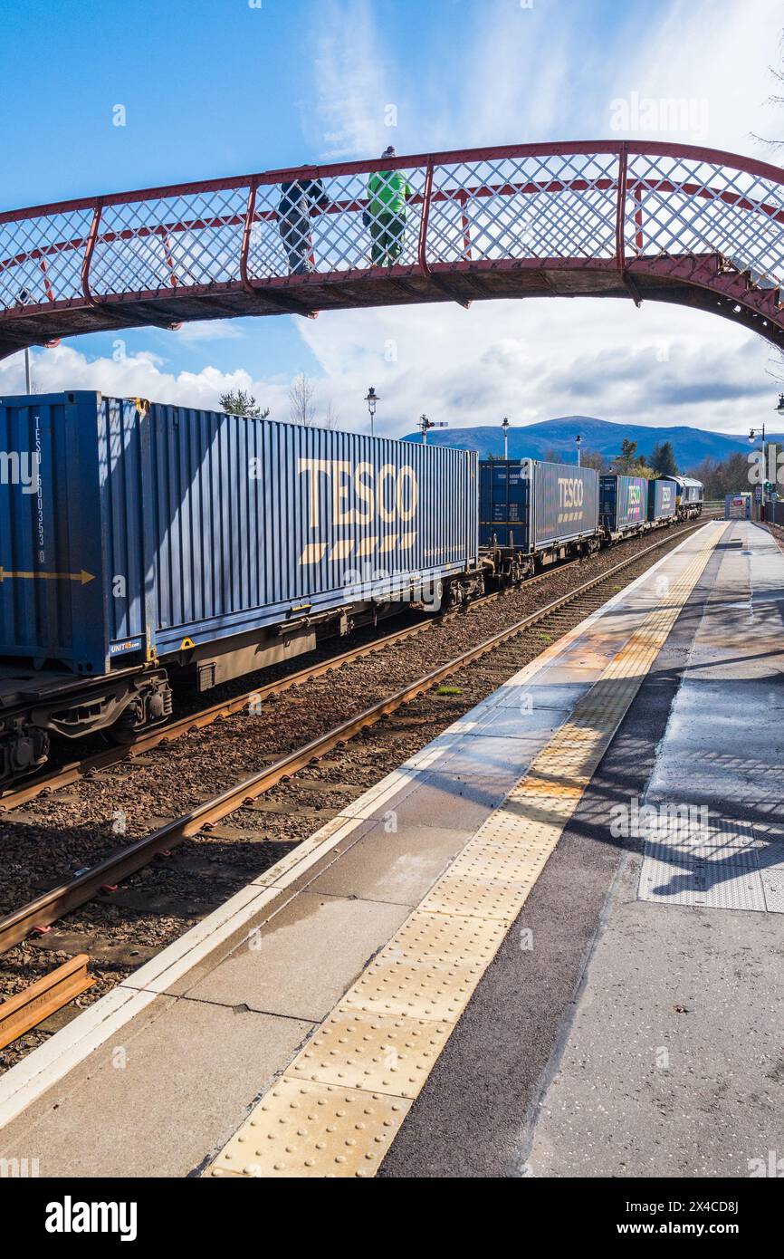 Der britische Supermarkt-Gigant Tesco bringt mit 40-Fuß-Stahlcontainern frische Produkte über den Bahnhof Aviemore an sein Ufer. Stockfoto