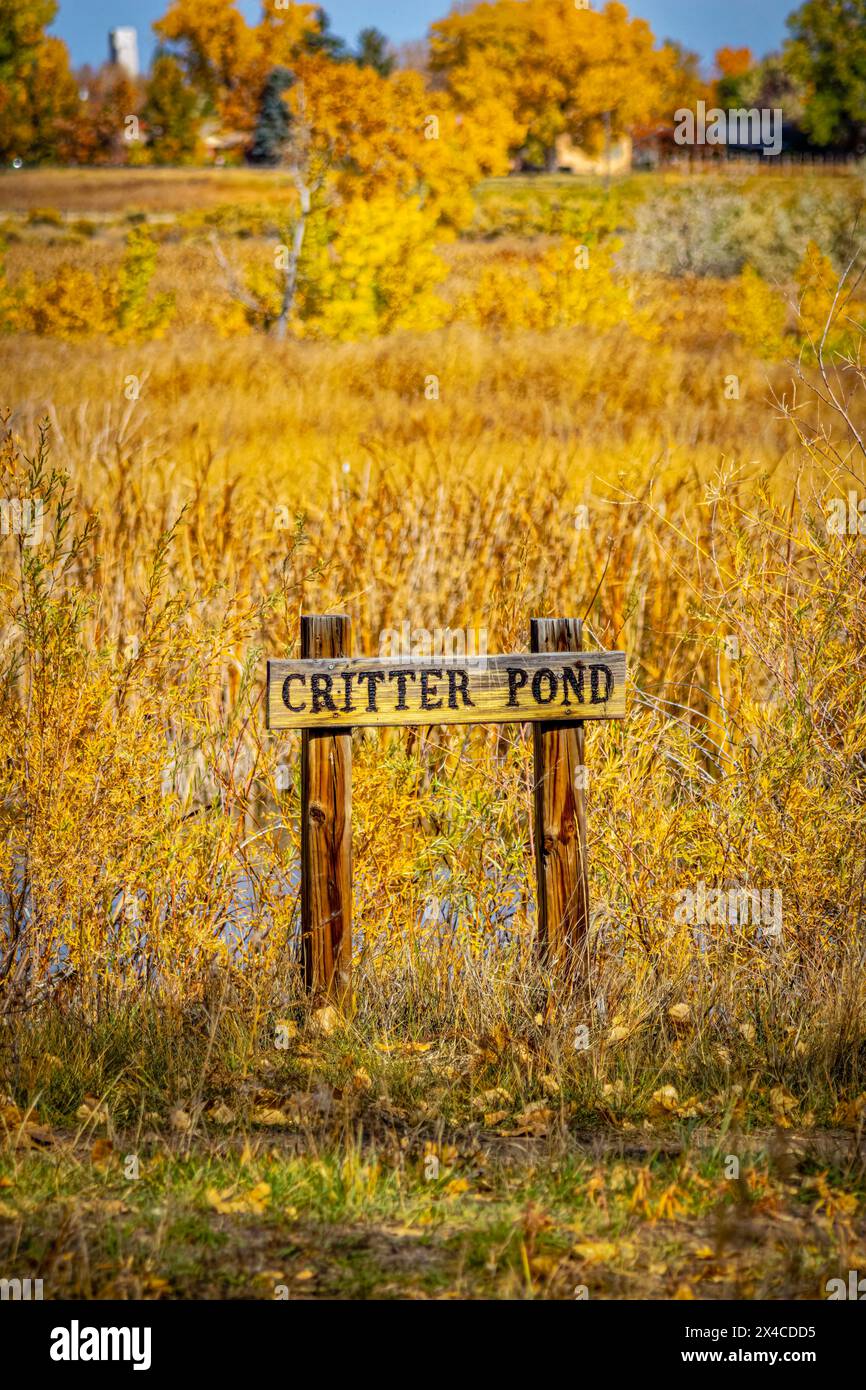 USA, Colorado, Fort Collins. Melde dich im Running Deer Natural Area an. Stockfoto