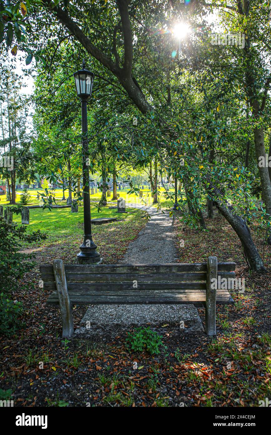 Savannah, Georgia, USA. Eine Parkbank mit Blick auf Grabsteine und Sonnenbäume auf dem Colonial Park Cemetery Stockfoto