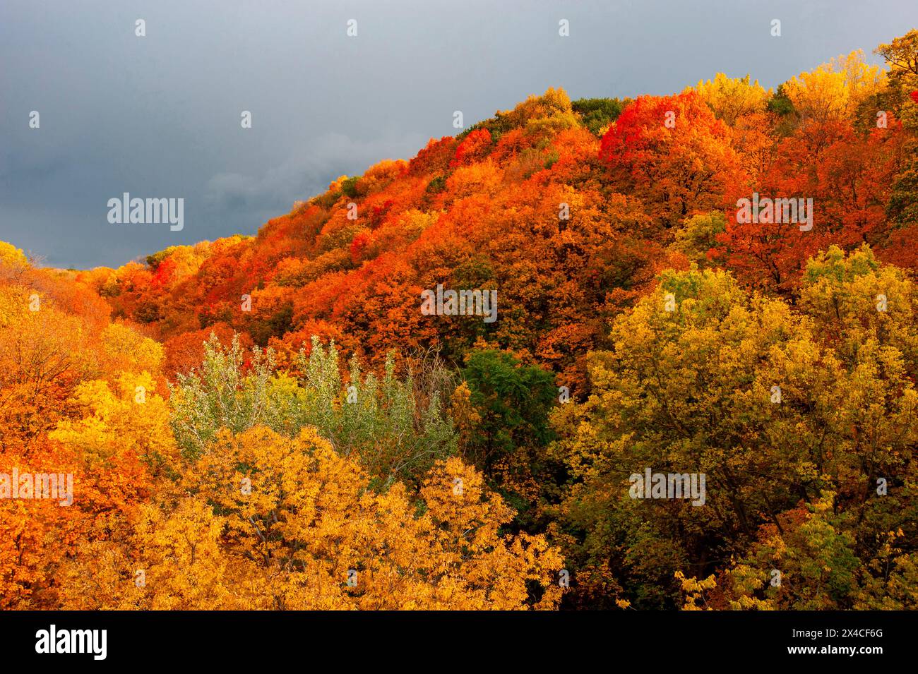 USA, Minnesota, Mendota Heights. Herbstfarbe, Ivey Falls Valley Stockfoto