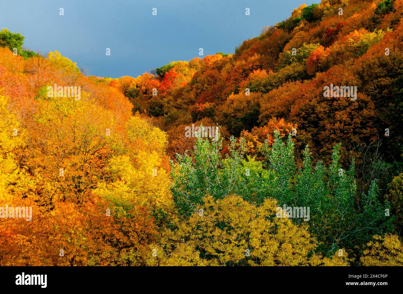 USA, Minnesota, Mendota Heights. Herbstfarbe, Ivey Falls Valley Stockfoto