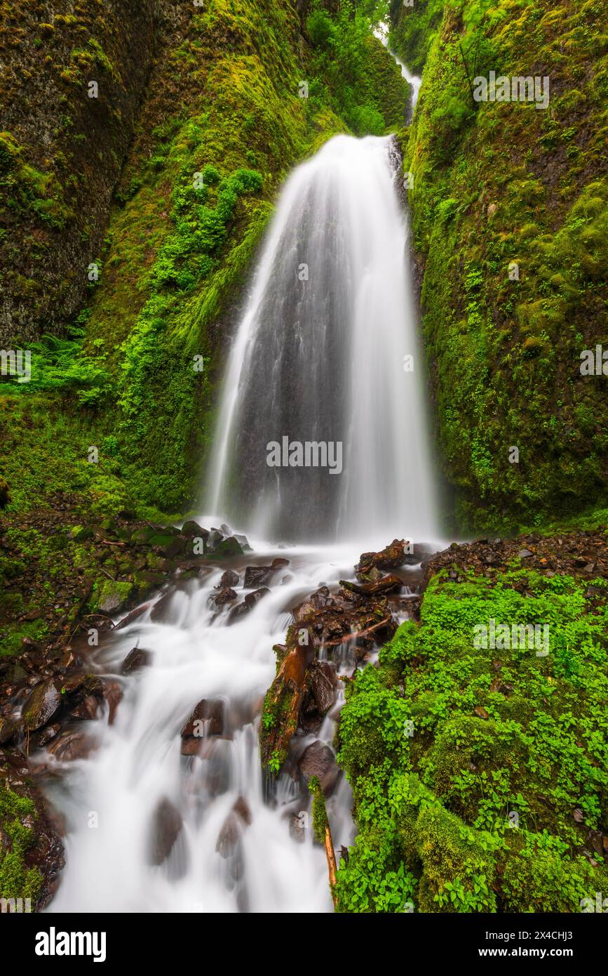 Wahkeena fällt, Columbia River Gorge National Scenic Area, Oregon, USA Stockfoto