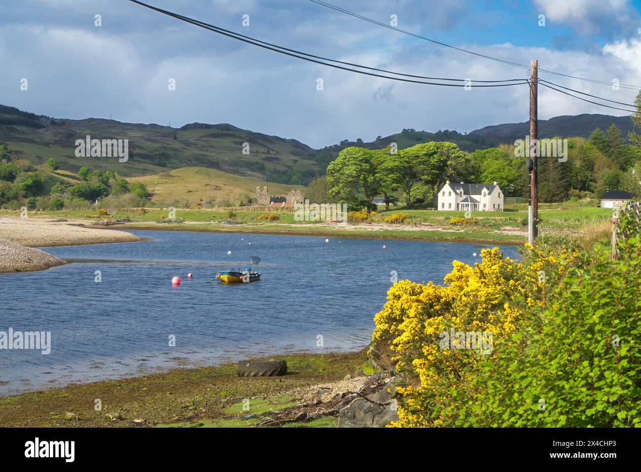 Glenelg, Glenmore River, heller Ginster. Kirkton Bay. Glenelg Dorf, Morvich. WESTERN Highlands, Schottland, Großbritannien Stockfoto