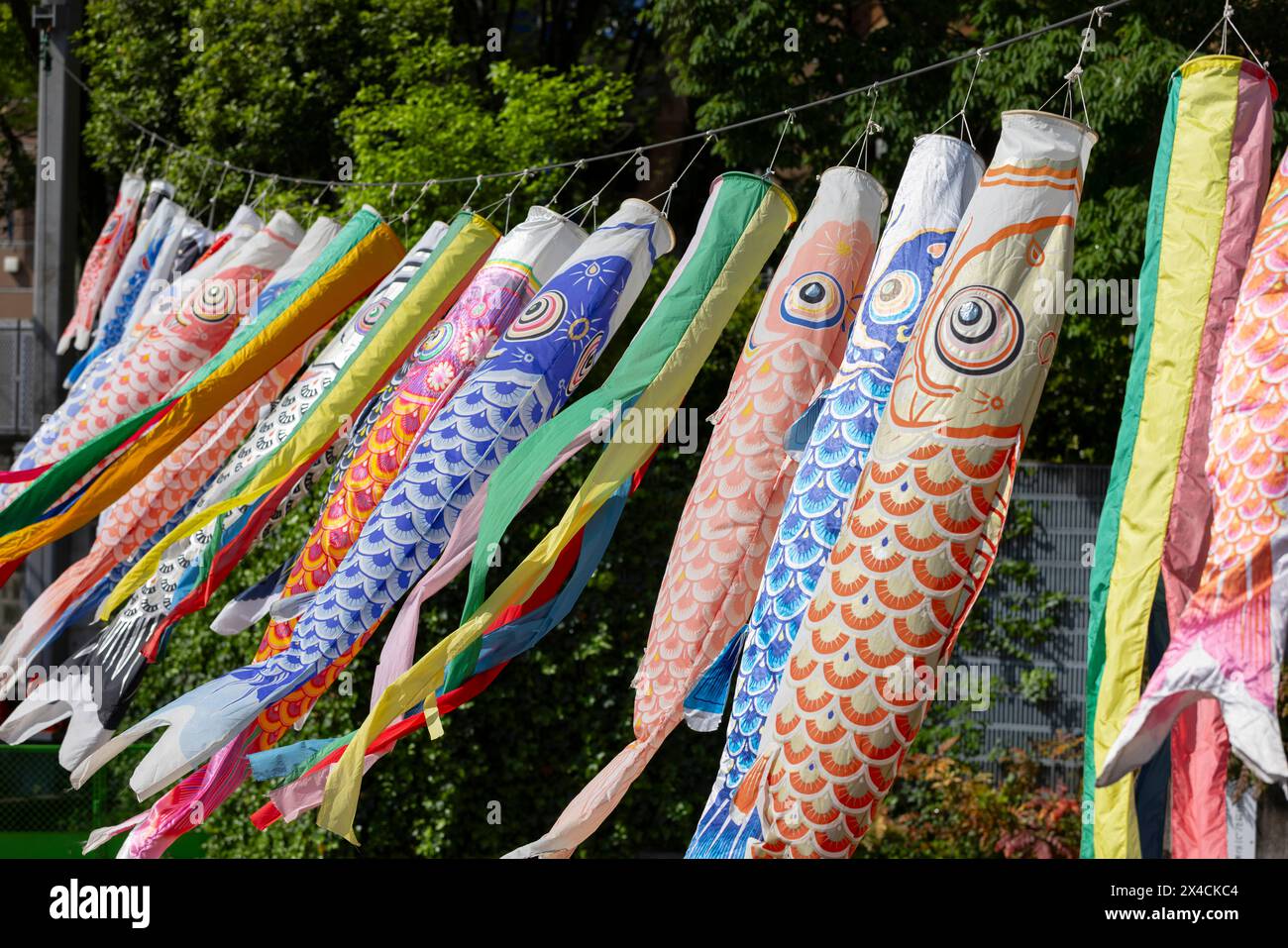 Koinobori-Dekoration fliegt im Wind, um den Kindertag in Japan zu feiern. Der Kindertag, ein japanischer Feiertag, der die Gesundheit und das Glück der Kinder ehrt, wird jährlich am 5. Mai gefeiert. Auf Japanisch heißt es: „Kodomo no hi“. Familien mit Jungen fliegen riesige karpfenförmige Streamer (Koinobori) vor ihrem Haus und stellen Puppen berühmter Krieger und anderer Helden im Haus aus. Der Karpfen symbolisiert Stärke und Erfolg; einer Legende nach schwamm ein Karpfen stromaufwärts, um zum Drachen zu werden. Mädchen haben ihr eigenes Festival, das Hina Matsuri (Puppenfestival) genannt wird, das am dritten Tag des dritten Monats stattfindet. (Pho Stockfoto