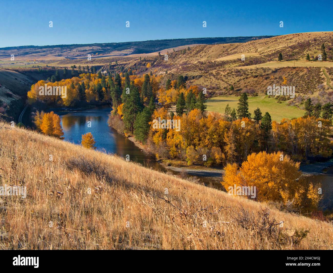 USA, Washington State, Kittitas County. Herbstfarben entlang des Yakima River im Kittitas County. Stockfoto