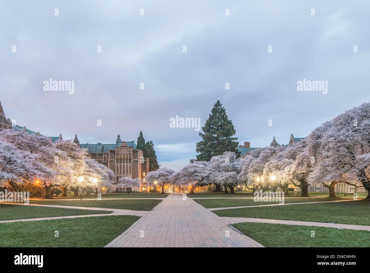 USA, Washington State, Seattle. University of Washington Quad bei Sonnenaufgang. (Nur Für Redaktionelle Zwecke) Stockfoto