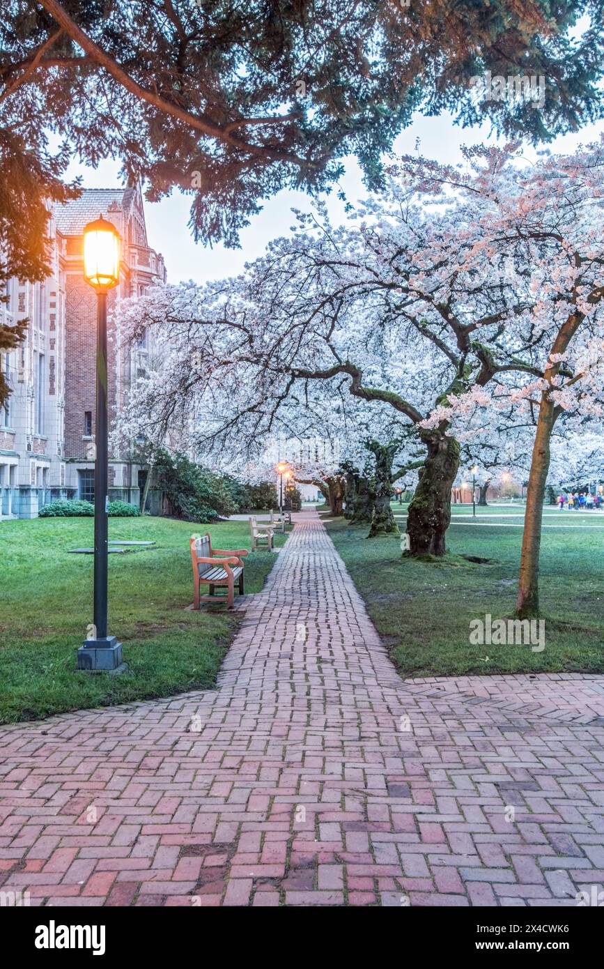 USA, Washington State, Seattle. University of Washington Quad bei Sonnenaufgang. (Nur Für Redaktionelle Zwecke) Stockfoto