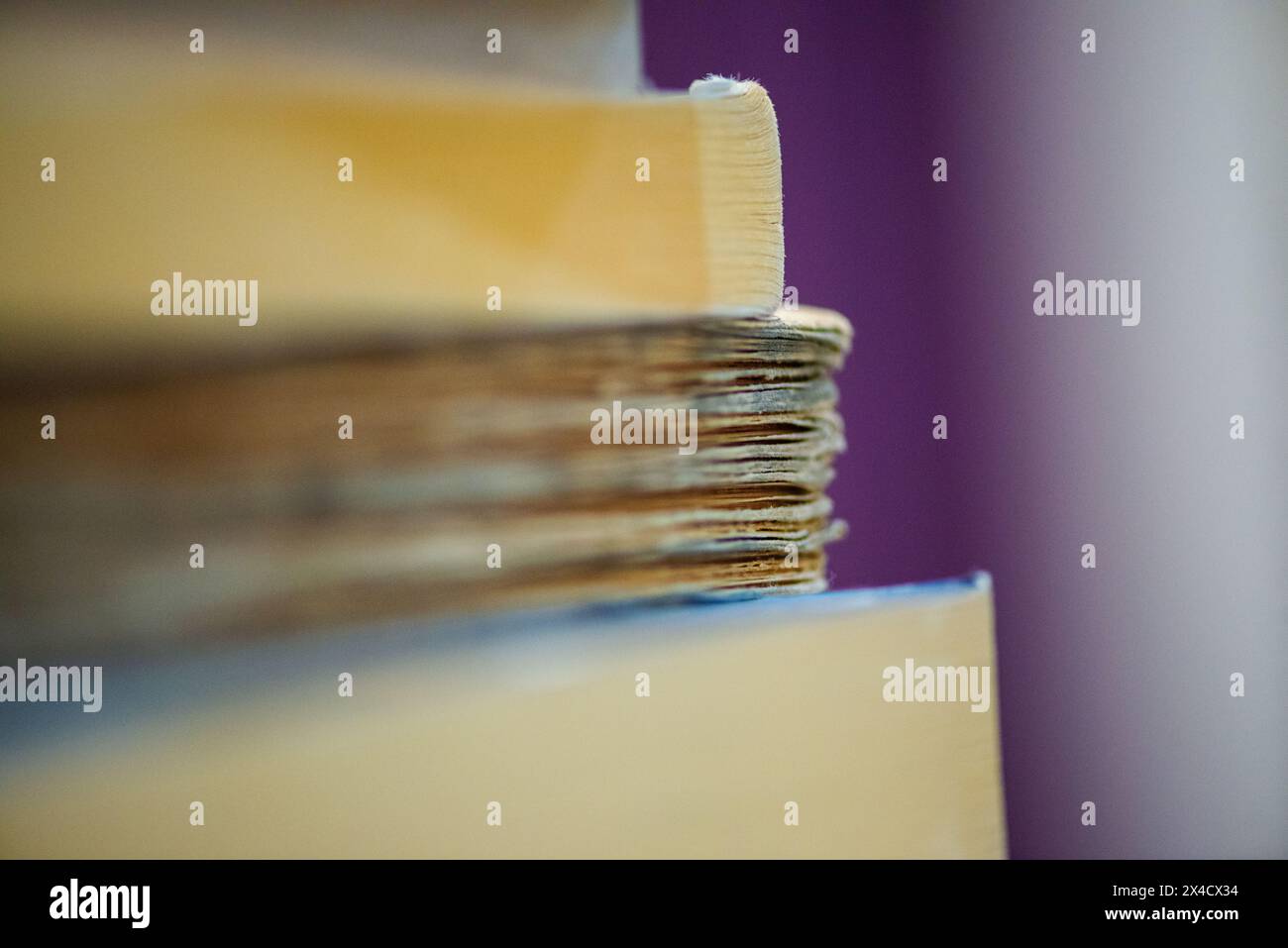 Ein fesselndes Makrofoto zeigt die komplizierten Details und Texturen der Kanten von Büchern und zeigt die Schönheit der Literatur Stockfoto