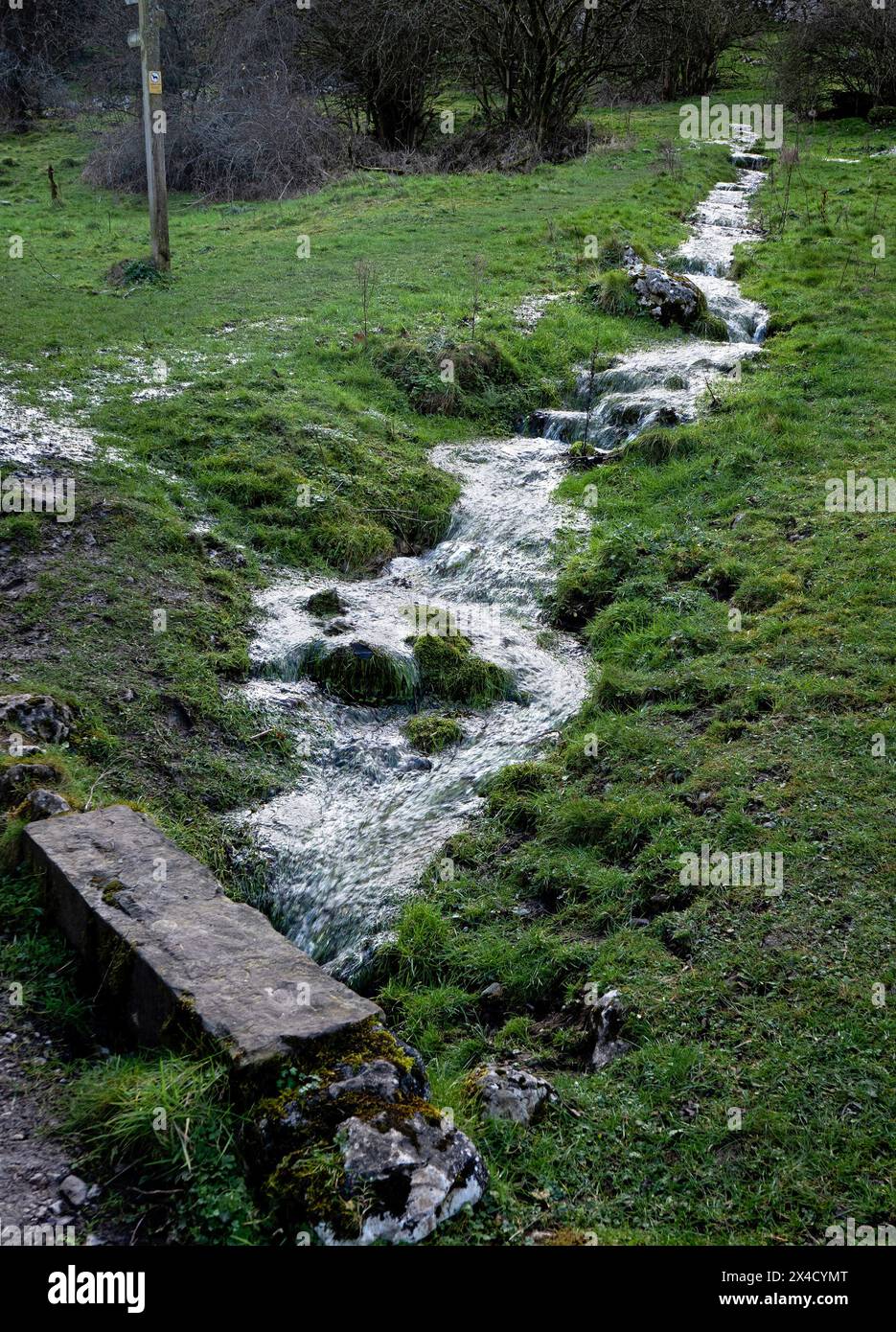 Überschüssiges Wasser, das vom Hang fließt Stockfoto