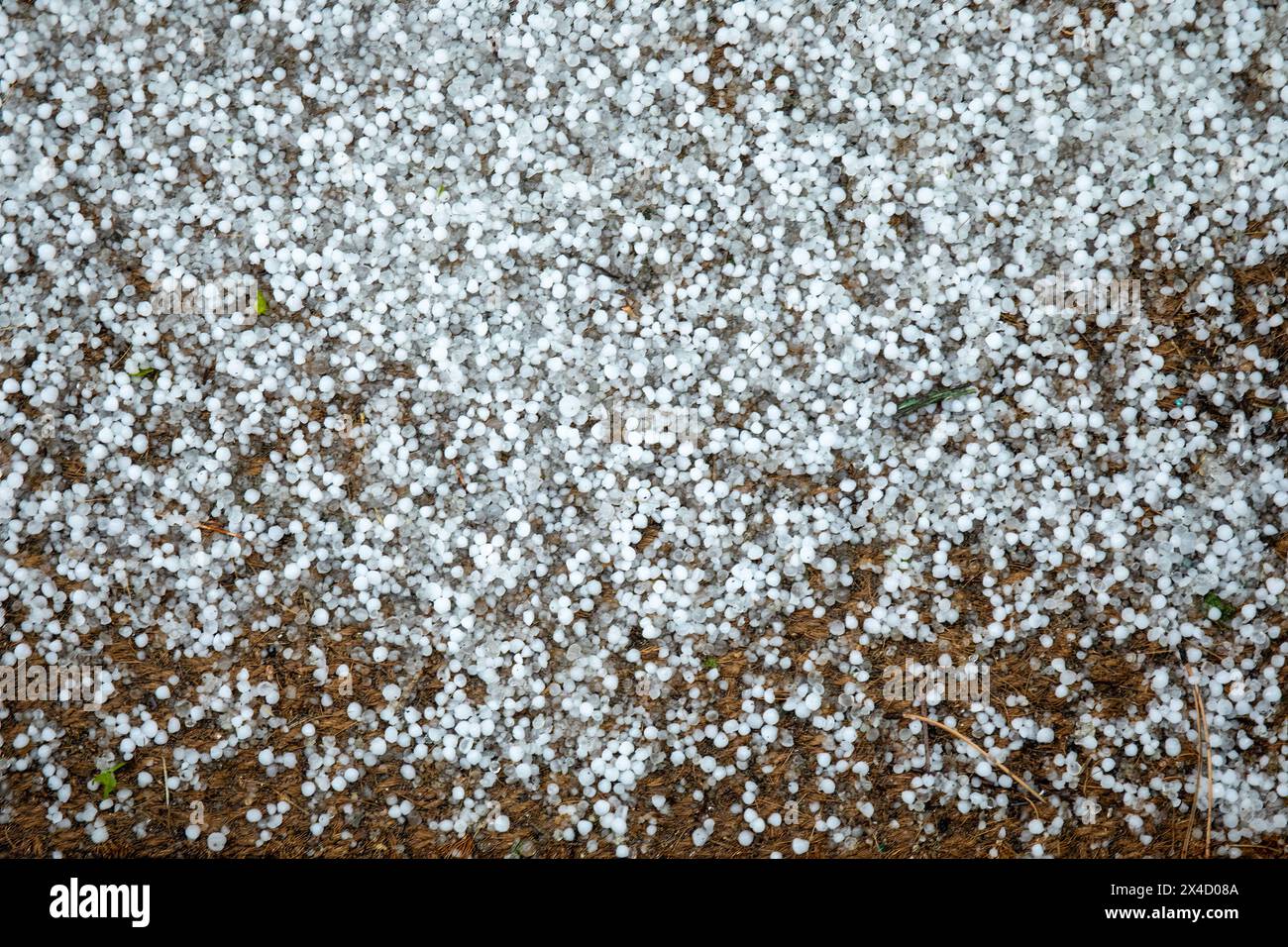 Kleine Hail on Door Matte: Winterliches Wetter zu Hause. Stockfoto