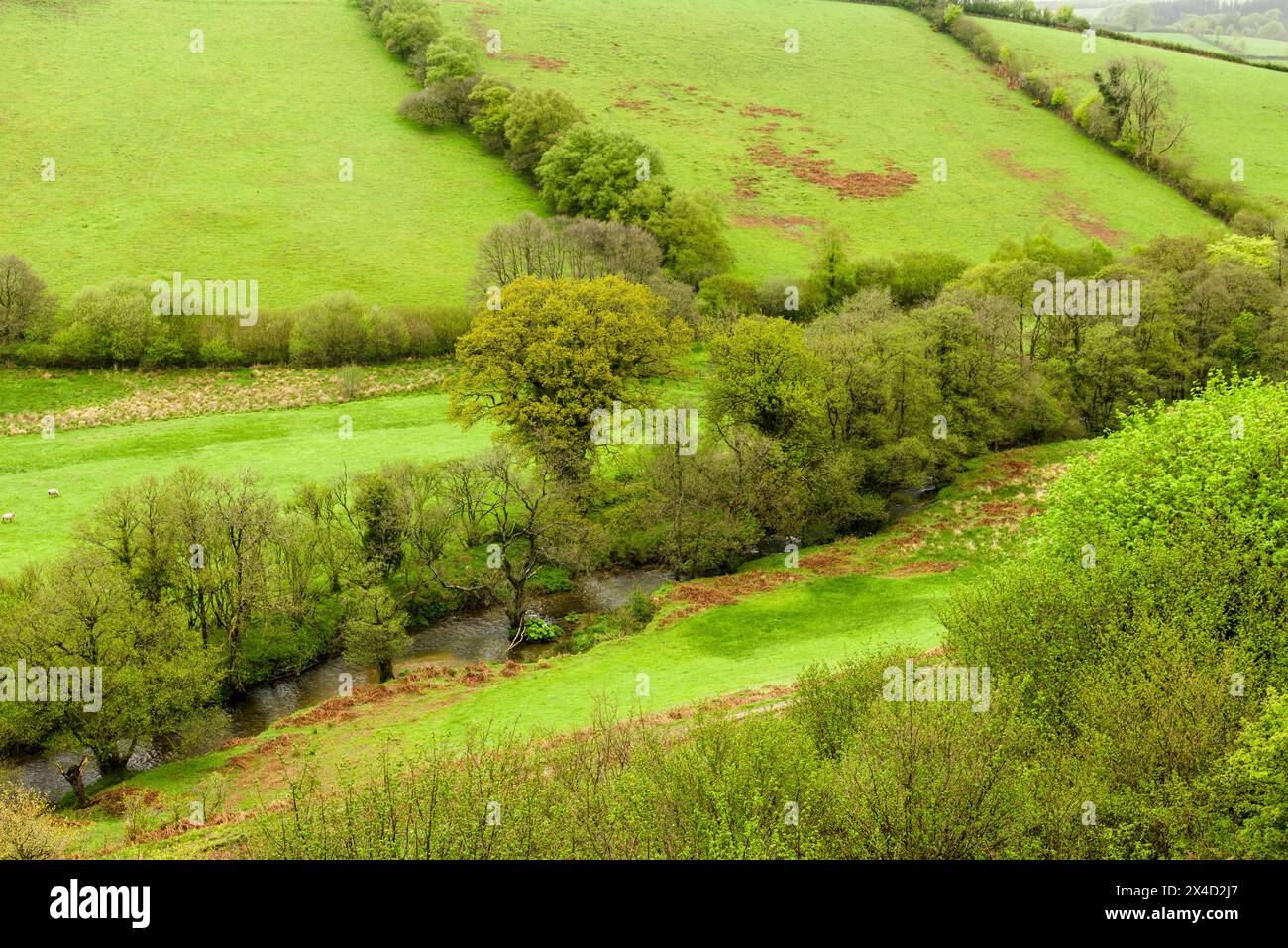 Der Fluss exe vom Lyncombe Hill in der Nähe von Exford im Exmoor National Park im Frühjahr, Somerset, England. Stockfoto