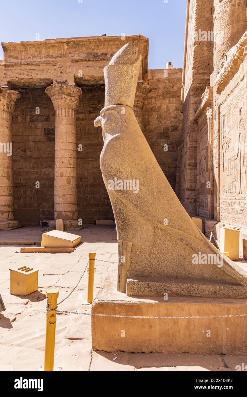 Edfu, Assuan, Ägypten. Statue des Falkengottes Horus im Tempel des Horus. Stockfoto