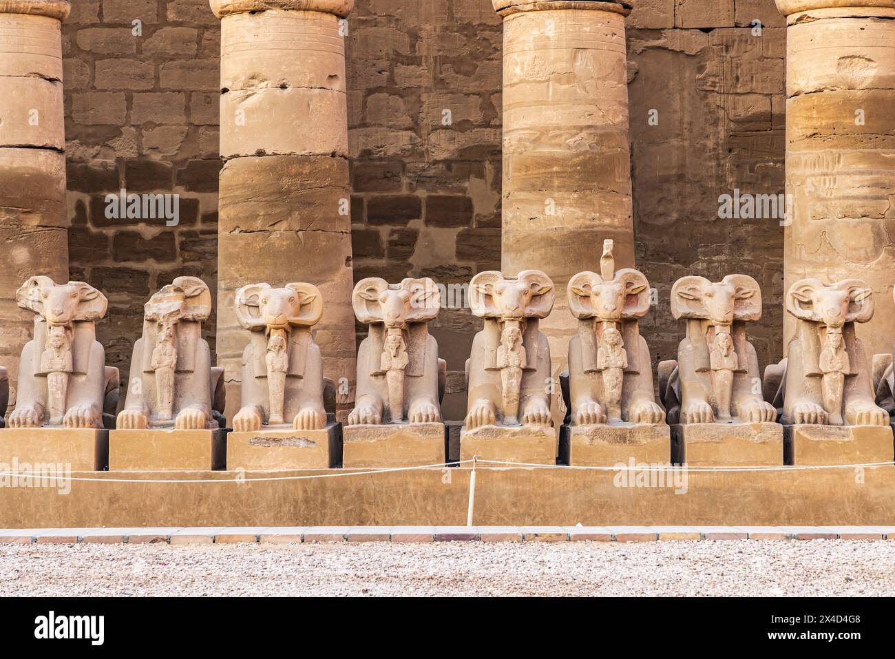 Karnak, Luxor, Ägypten. Die Avenue der Rams führte Sphinxen im Tempelkomplex Karnak. Stockfoto