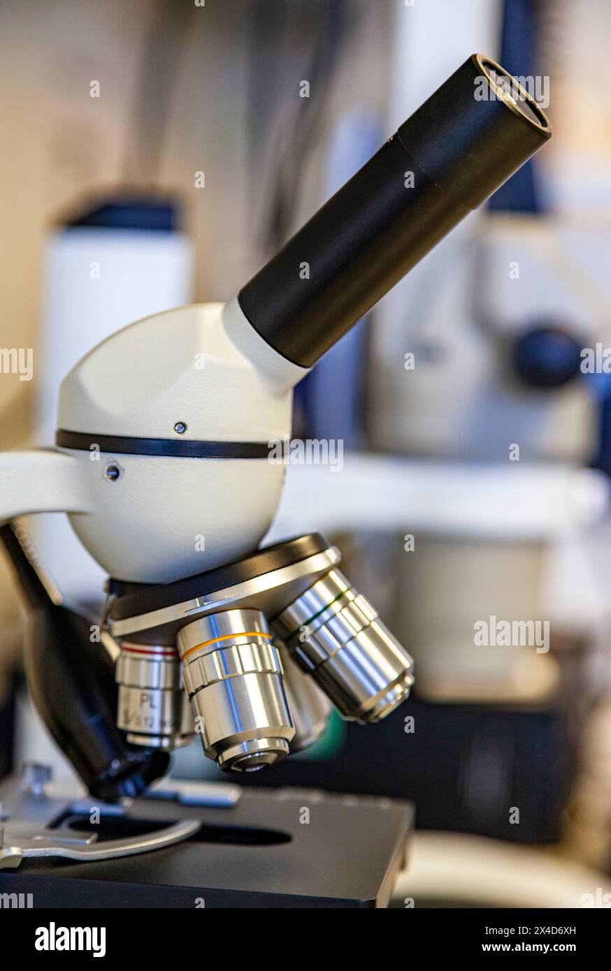 Nahaufnahme eines Mikroskops in einem modernen Wissenschaftslabor. Stockfoto