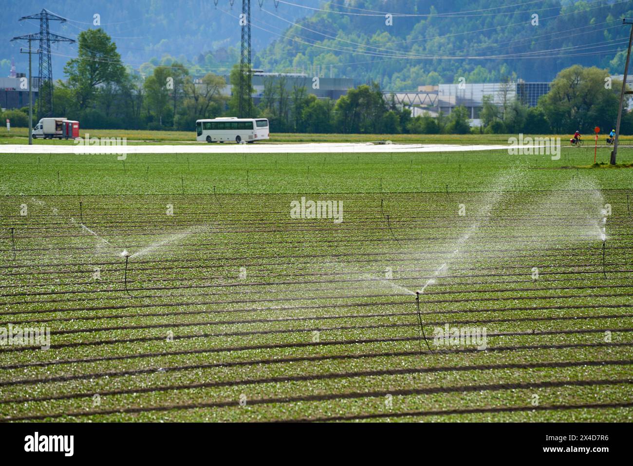 Innsbruck, Österreich - 1. Mai 2024: Sprinkleranlage bewässert Pflanzen mit Süßwasser auf einem landwirtschaftlichen Feld. Anbaufläche für Obst und Gemüse mit Bewässerungssystem *** Sprinkleranlage gießen Pflanzen mit frischem Wasser auf einem landwirtschaftlichen Feld. Anbaufläche für Obst und Gemüse mit Bewässerungsanlage Stockfoto