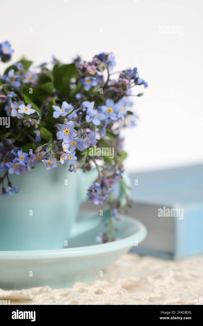 Schöne Vergissmeinnicht-Blumen in Tasse, Buch und Häkeltischdecke auf Tisch vor weißem Hintergrund, Nahaufnahme Stockfoto