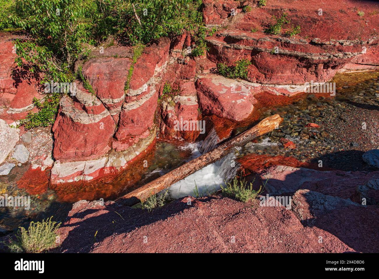 Kanada, Alberta, Waterton Lakes National Park. Red Rock Creek im Red Rock Canyon. Stockfoto