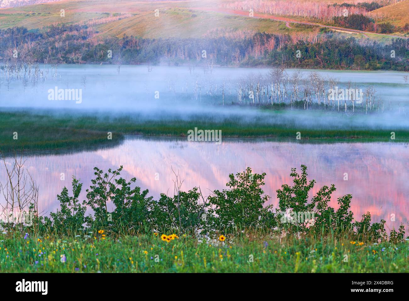 Kanada, Alberta, Waterton Lakes National Park. Fog und Maskinonge Lake bei Sonnenaufgang. Stockfoto