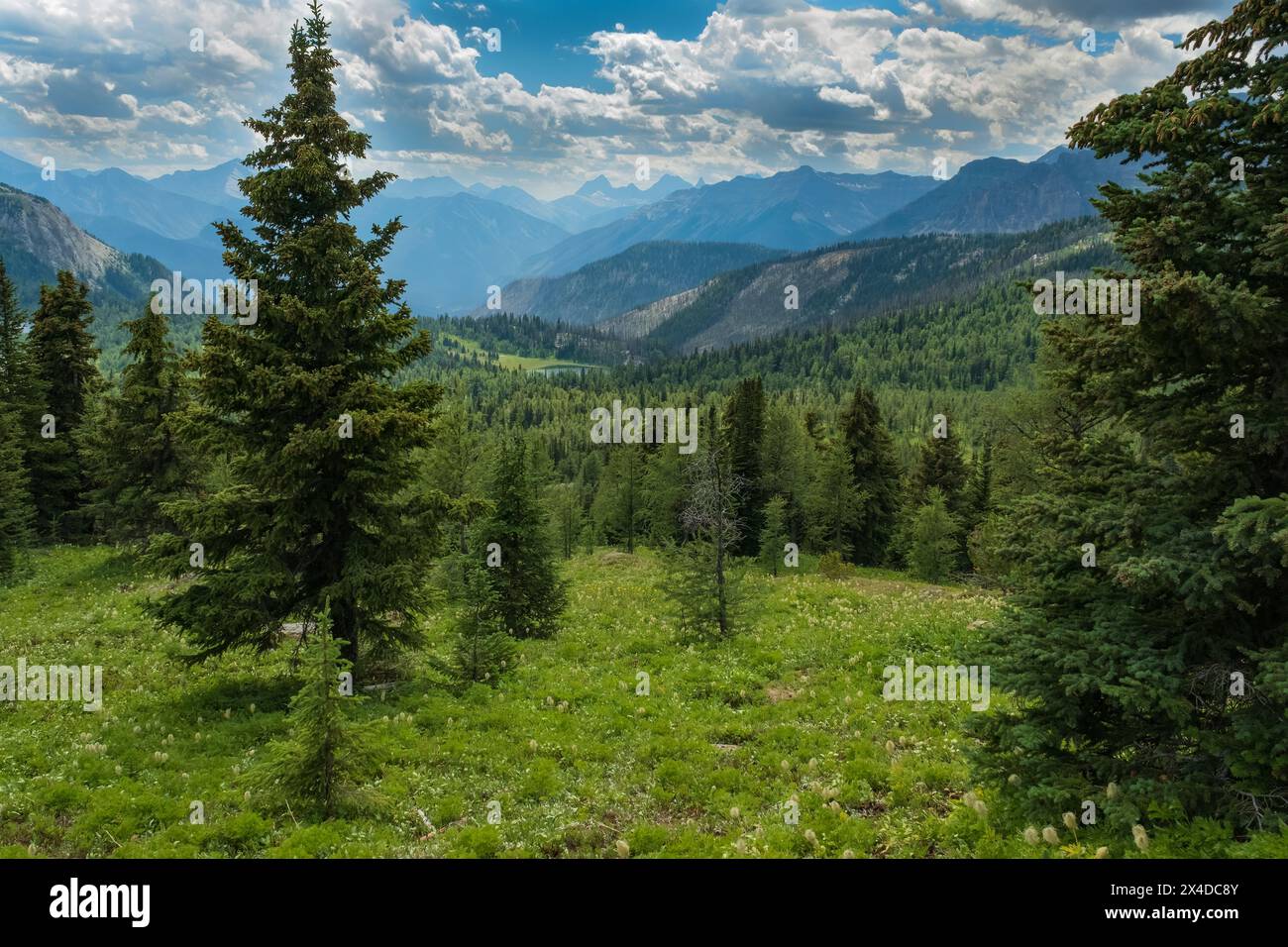 Kanada, Alberta, Banff National Park. Berglandschaft mit Banff Sunshine Meadows. Stockfoto