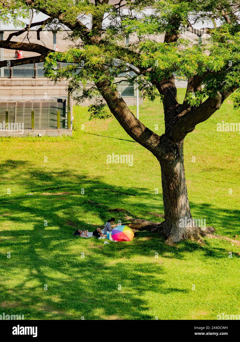 Wanderarbeiter Picknick am Wochenende unter dem Baum in singapur Stockfoto
