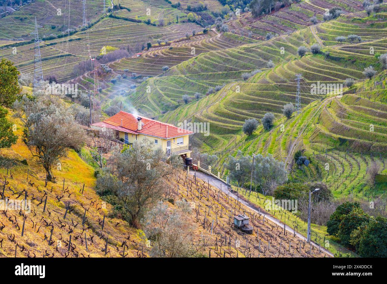 Blick auf das Douro-Tal mit den Weinbergen der Terrassenfelder und Häuser. Fotografiert im Frühjahr, Portugal Stockfoto