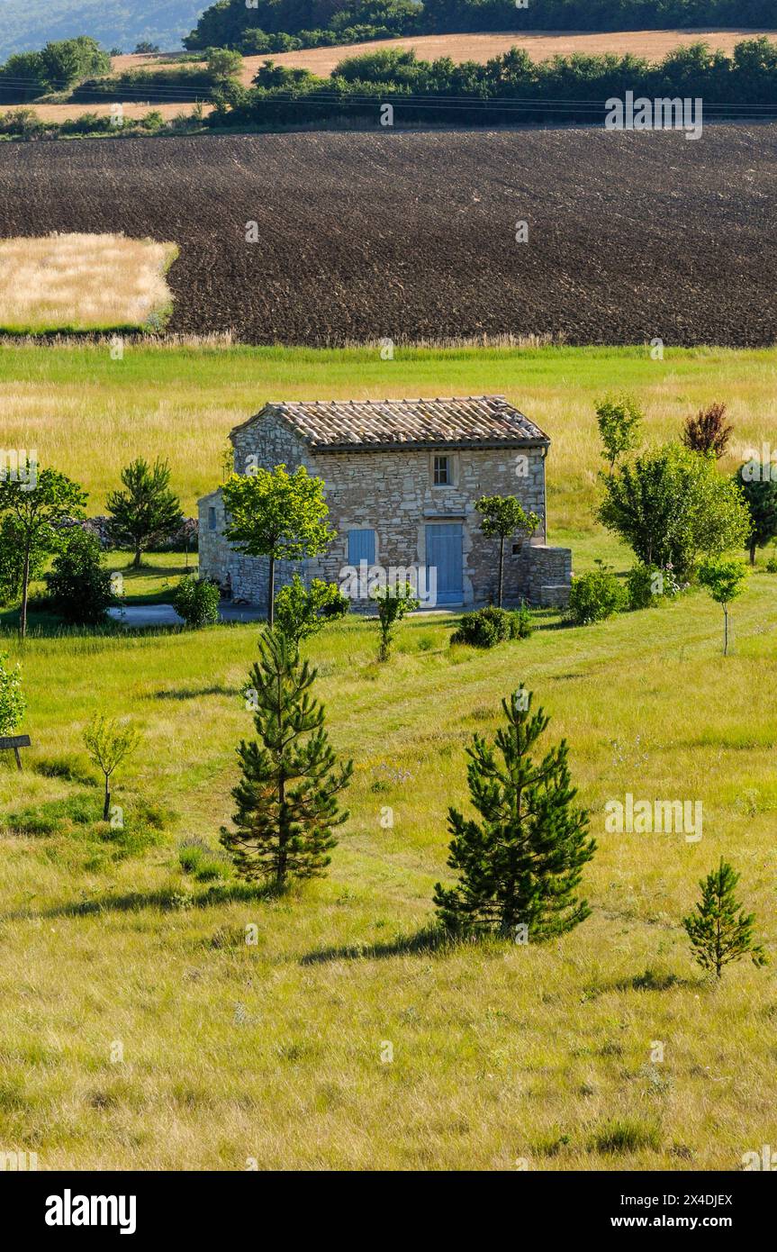 Ein Bauernhaus aus Stein und Felder in der Nähe. Sault, Provence, Frankreich. (Nur Für Redaktionelle Zwecke) Stockfoto