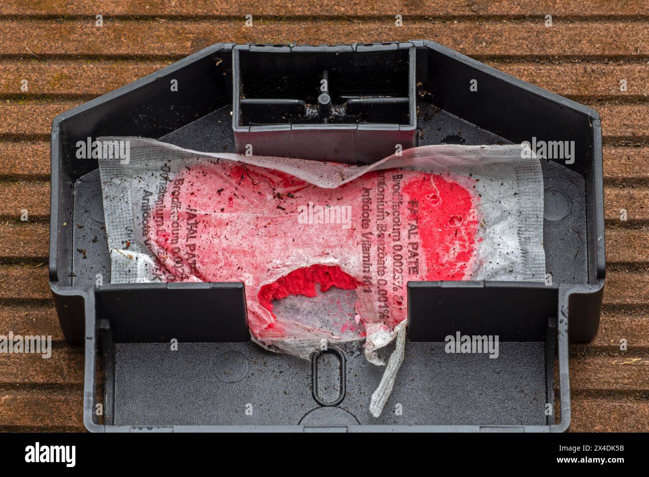 Gift fr muse -Fotos und -Bildmaterial in hoher Auflsung  Alamy