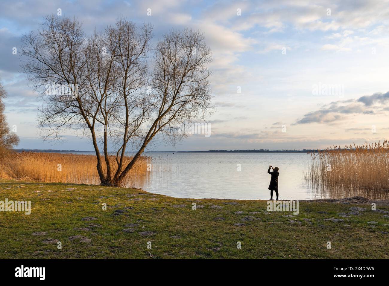 Europa Deutschland Brandenburg Uckermark Prenzlau: Frau fotografiert am Ufer des Uckersees *** Europa Deutschland Brandenburg Uckermark Prenzlau Frau pho Stockfoto