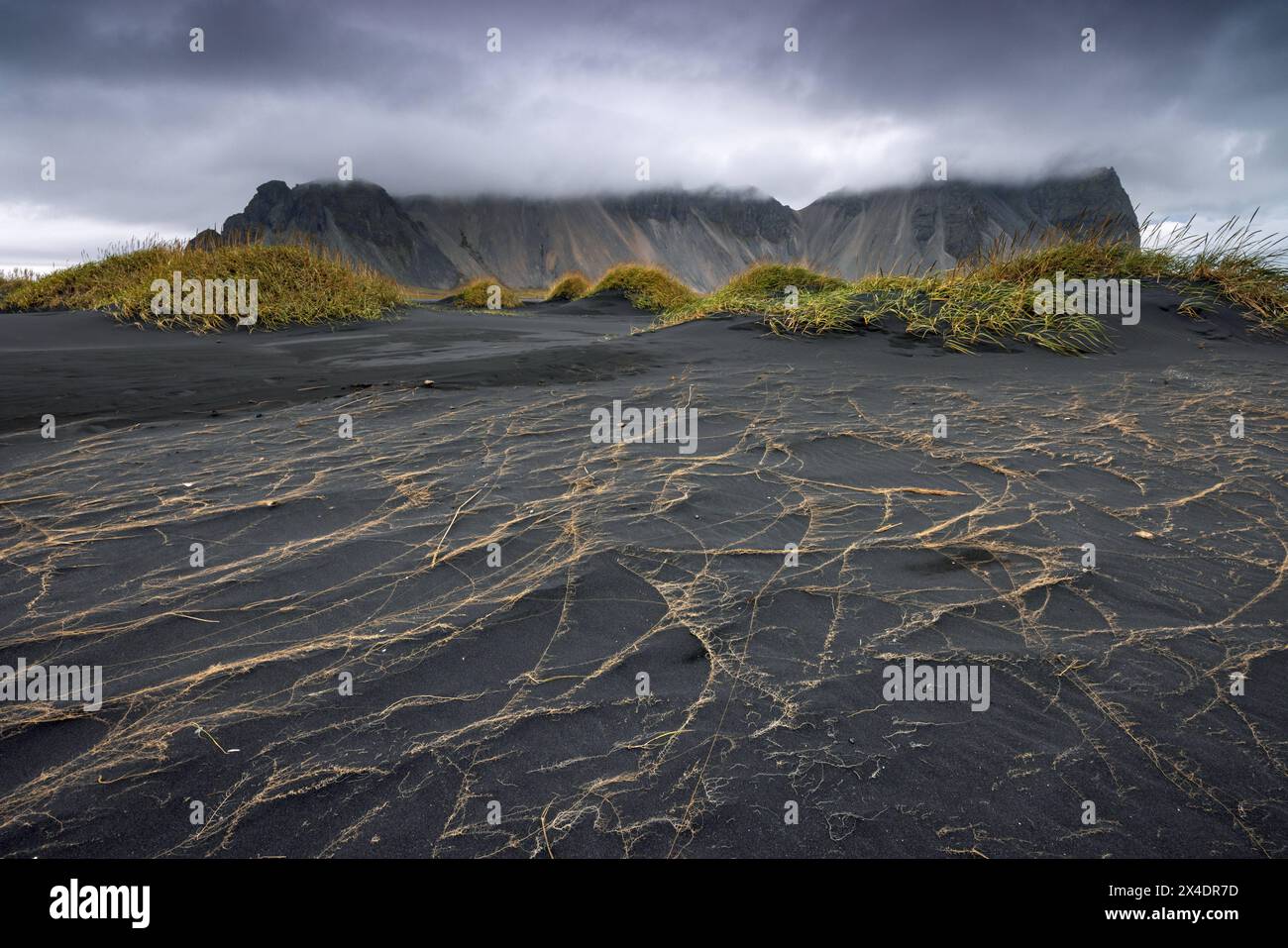 Europa Skandinavien Island SuÃurland Höfn Vestrahorn: Mit Strandgras bewachsene Sanddünen vor dem Bergmassiv Klifatindur auf der Halbinsel Stokksnes a Stockfoto