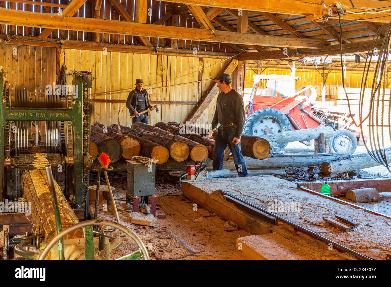 Rumänien, Siebenbürgen, Suceava. Weichholz-Sägewerk und Arbeiter. (Nur Für Redaktionelle Zwecke) Stockfoto