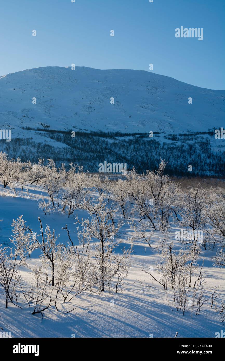 Gefrorene Landschaft in der Nähe von Kiruna, Schweden. Stockfoto