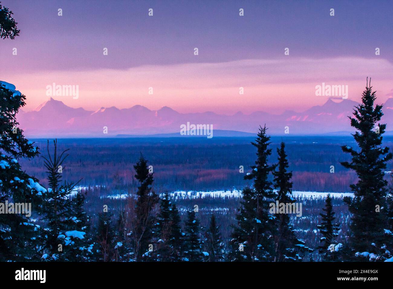 USA, Alaska. Winterlandschaft mit Alaska Range und bewaldetem Tal bei Sonnenaufgang. Stockfoto