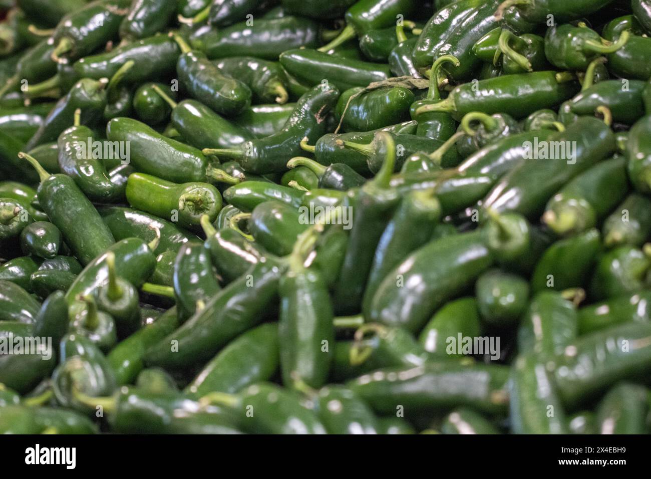 Ein Haufen Chili Paprika auf dem Markt Stockfoto
