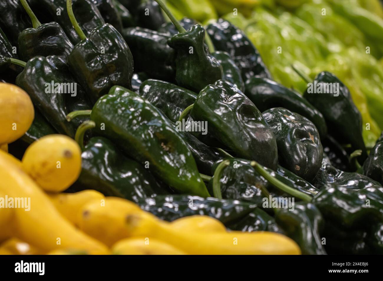 Grüne Poblano-Paprika auf dem Markt Stockfoto