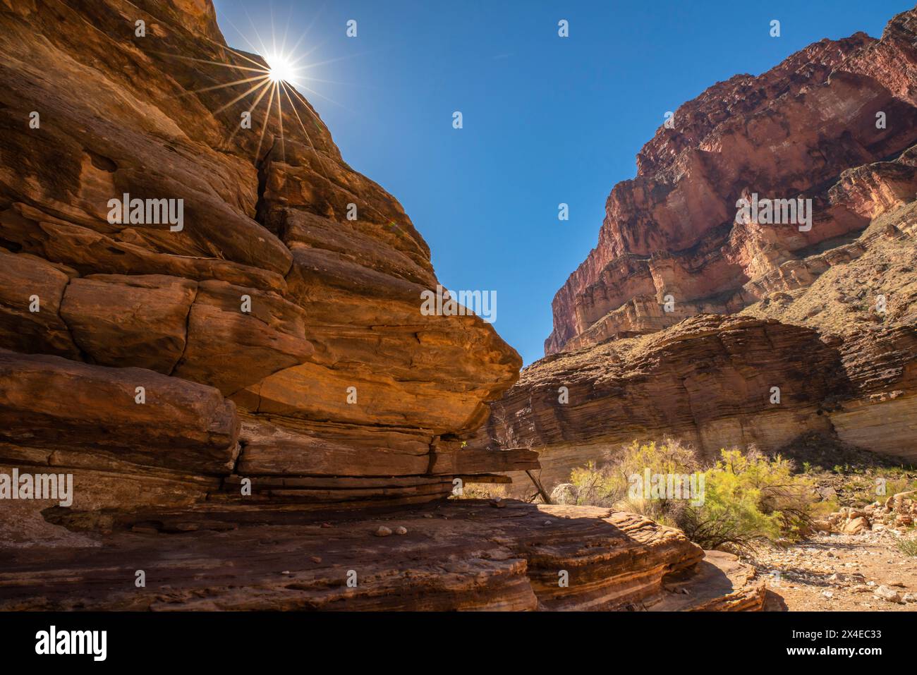 USA, Arizona, Grand Canyon Nationalpark. Sonnenstern und Wanderweg im Blacktail Canyon. Stockfoto