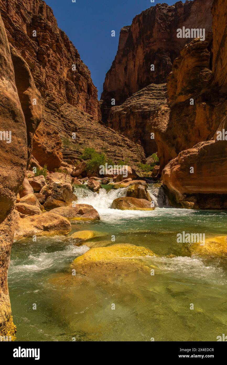 USA, Arizona, Grand Canyon Nationalpark. Havasu Creek am Colorado River. Stockfoto