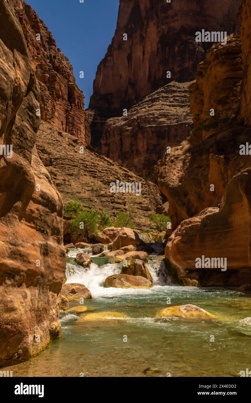 USA, Arizona, Grand Canyon Nationalpark. Havasu Creek am Colorado River. Stockfoto