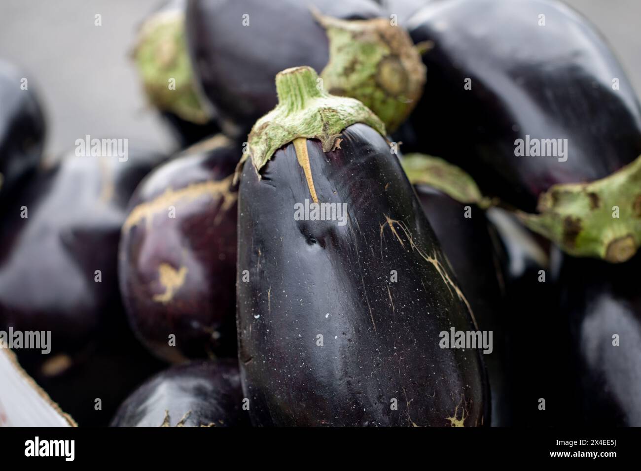 Auberginen zum Verkauf an einem Verkaufsstand Stockfoto