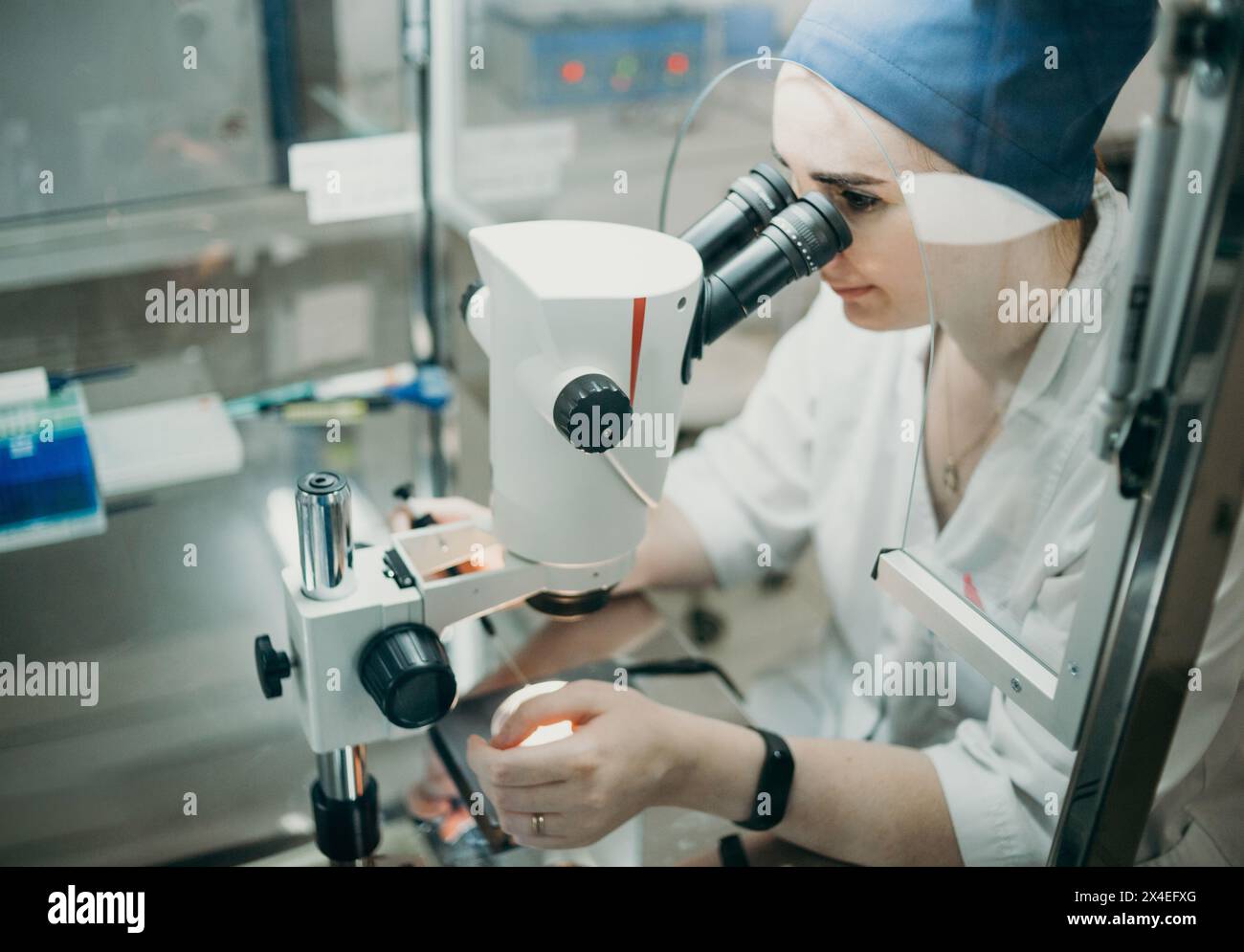 Embryologe Arzt, der durch ein Mikroskop im Labor schaut Stockfoto