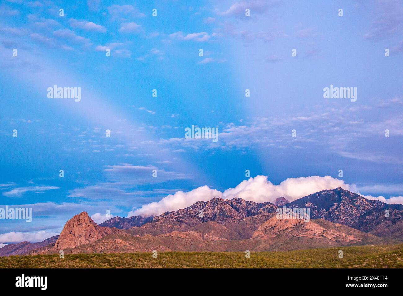 USA, Arizona, Santa Cruz County. Santa Rita Mountains bei Sonnenuntergang. Stockfoto