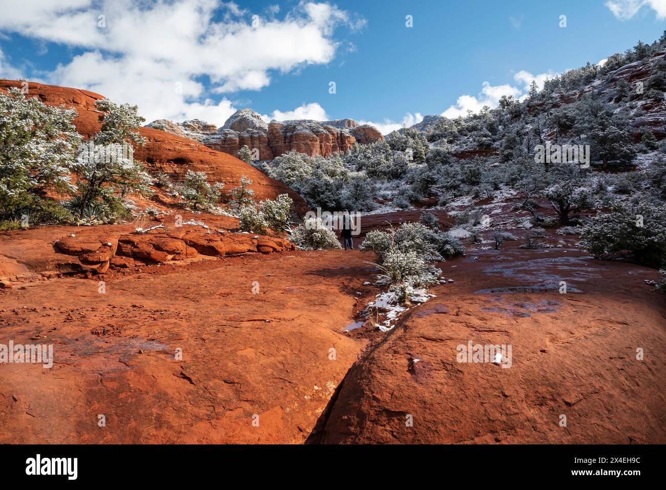 USA, Arizona, Sedona. Stäuben von Schnee über der Landschaft von Red Rocks (nur redaktionelle Verwendung) Stockfoto