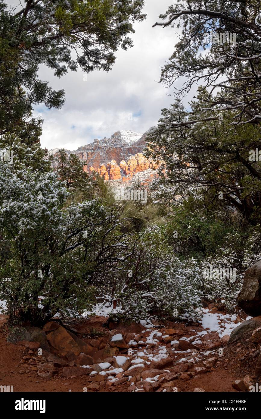 USA, Arizona, Sedona. Schneestäubung auf Red Rocks. Stockfoto