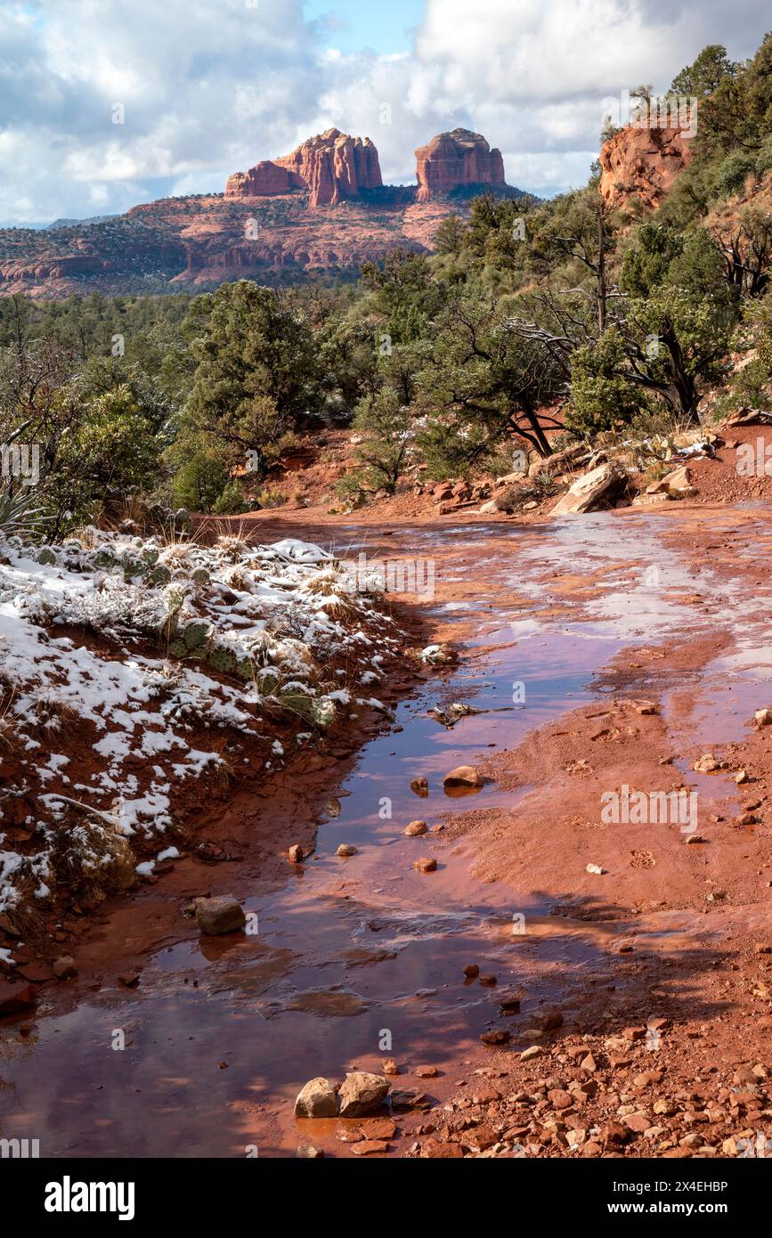 USA, Arizona, Sedona. Winterstaubung von Schnee und fernen Felsformationen. Stockfoto