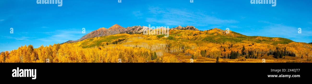 USA, Colorado, Gunnison National Forest. Panoramablick auf Berge und Aspenwald im Herbst. Stockfoto